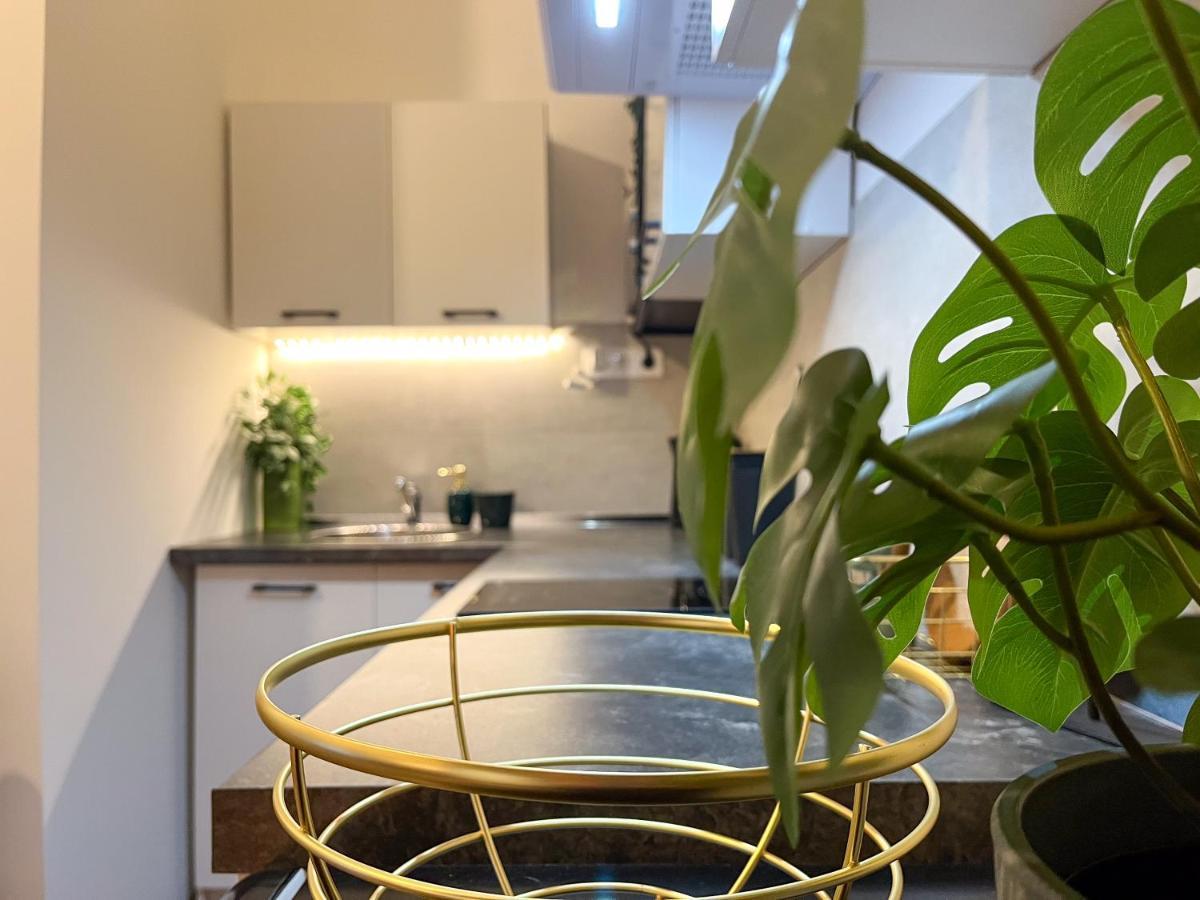 Green Goblin Apartment With Free Private Parking Budapest Exterior photo